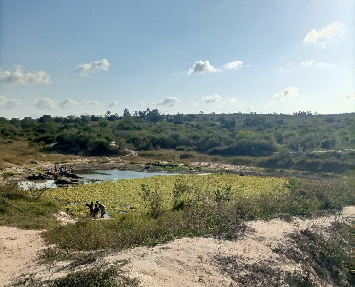 Let me show you something .

This is where the people of Vitsapuni ,  including children at Vitsapuni Primary School get their drinking water.

As I shared yesterday, in rural Kilifi there are no boreholes. What they depend on is a small water pan  stagnant, dirty, covered with