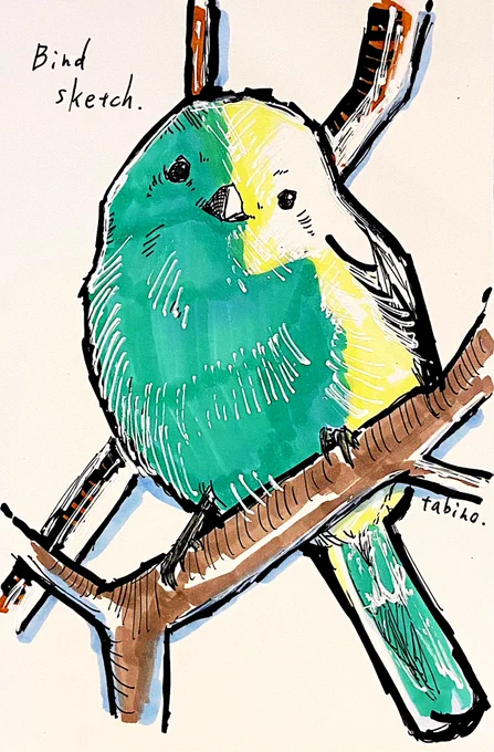 シマエナガ描きました。影を最初薄い水色で塗ってたんですが、写真に影が濃く入ってたので思い切って青緑を塗ってみました。 #シマエナガ #スケッチ