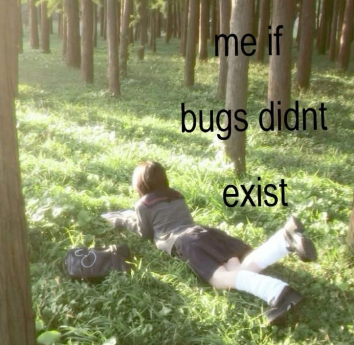 Respectful Memes tweet media