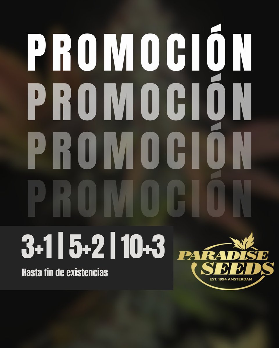 Beautiful Beans Seeds tweet media