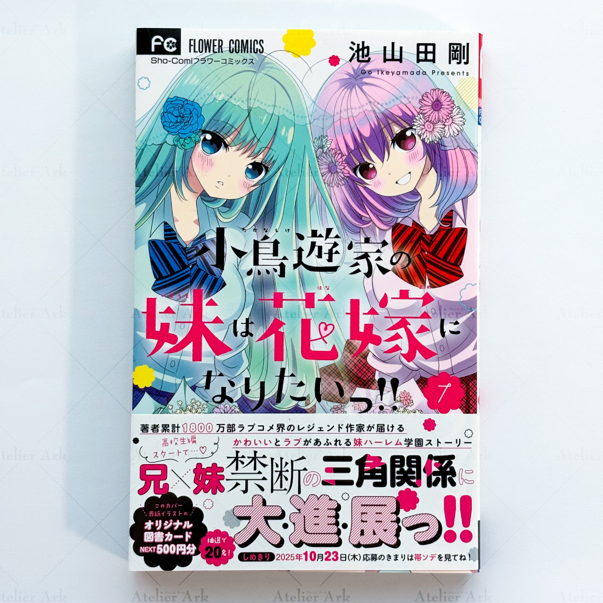 直筆サイン入りキャンバスアート 小鳥遊家の妹は花嫁になりたいっ！！ 生写真 直筆サイン入りキャンバスアート 小鳥遊家の妹は花嫁になりたいっ