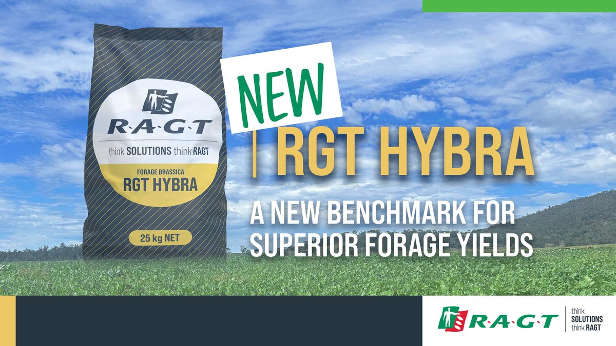 RAGTAU's tweet image. Hybrid Power, Superior Yields
To find out more visit: ragt.au/product/rgt-hy…
#ThinkSolutions #thinkRAGT #RAGTAustralia #NextGenForage #StrongerPastures #AussieFarming #pasture #HighPerformanceFeed #AgAustralia #RAGTAU #argicultureaustralia #RAGT #agronomy