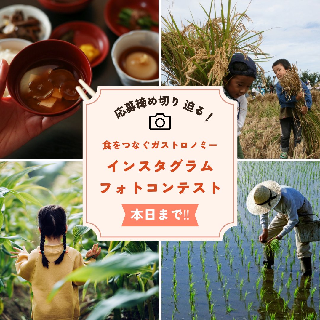 ／
📢まもなく終了
＼

8月に始まったフォトコンテストも9月30日で終了！
皆さまが体験した「地域の魅力」をハッシュタグ #NFSフォトコン をつけて発信してください！

#写真好きな人と繋がりたい

▼詳細はこちら
nippon-food-shift.maff.go.jp/2025/aw_amb.ht…