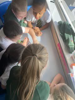 Willow Tree St Helens tweet media