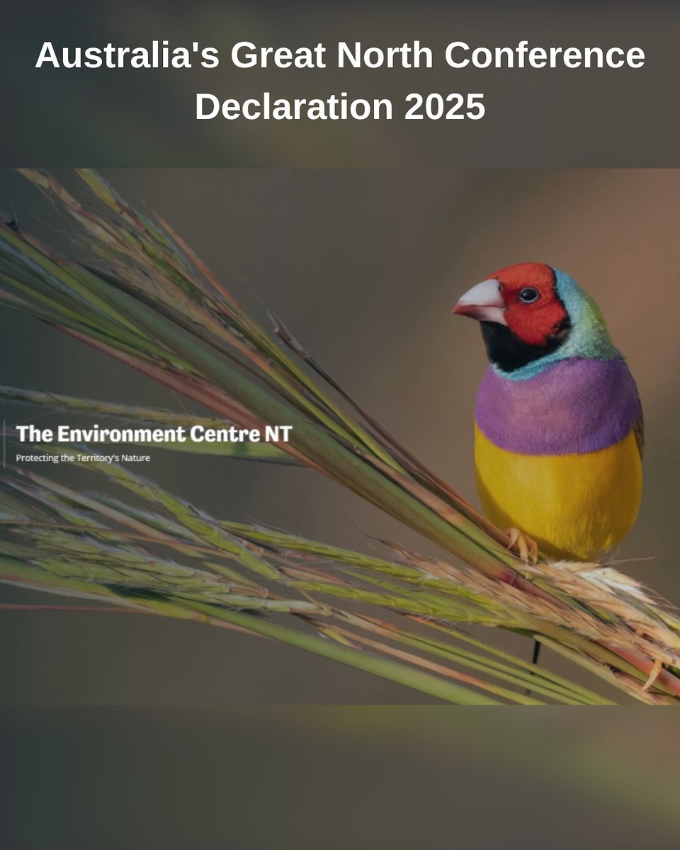 The Kimberley region is special: extraordinary landscapes, rich culture, brilliant coastline. WA Labor gov mustn’t allow horrendous fracking, or massive gas developments to disfigure and ruin this part of Oz. Australia's Great North Conference Declaration: ecnt.org.au/australias_gre…
