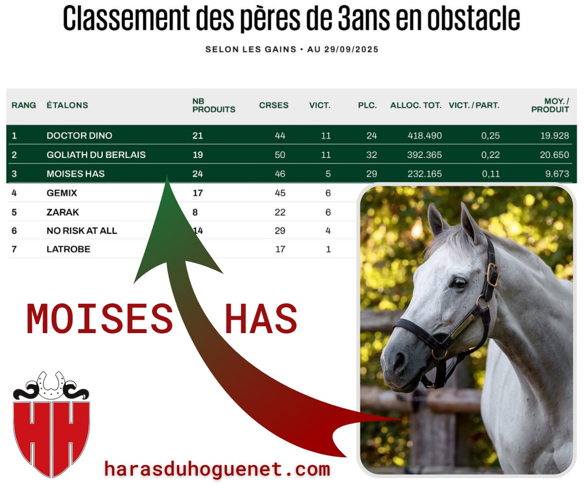 #MoisesHas
<a href="/harasduhoguenet/">Haras du Hoguenet</a>