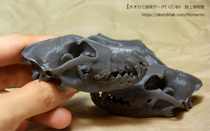kiyama_tb's tweet photo. 骨格の3Dプリント品はこんな感じです。
出力は安全性等考えてエキマテ(@Expert_Material )を使用しました。 https://t.co/YAAs4MoW4Y