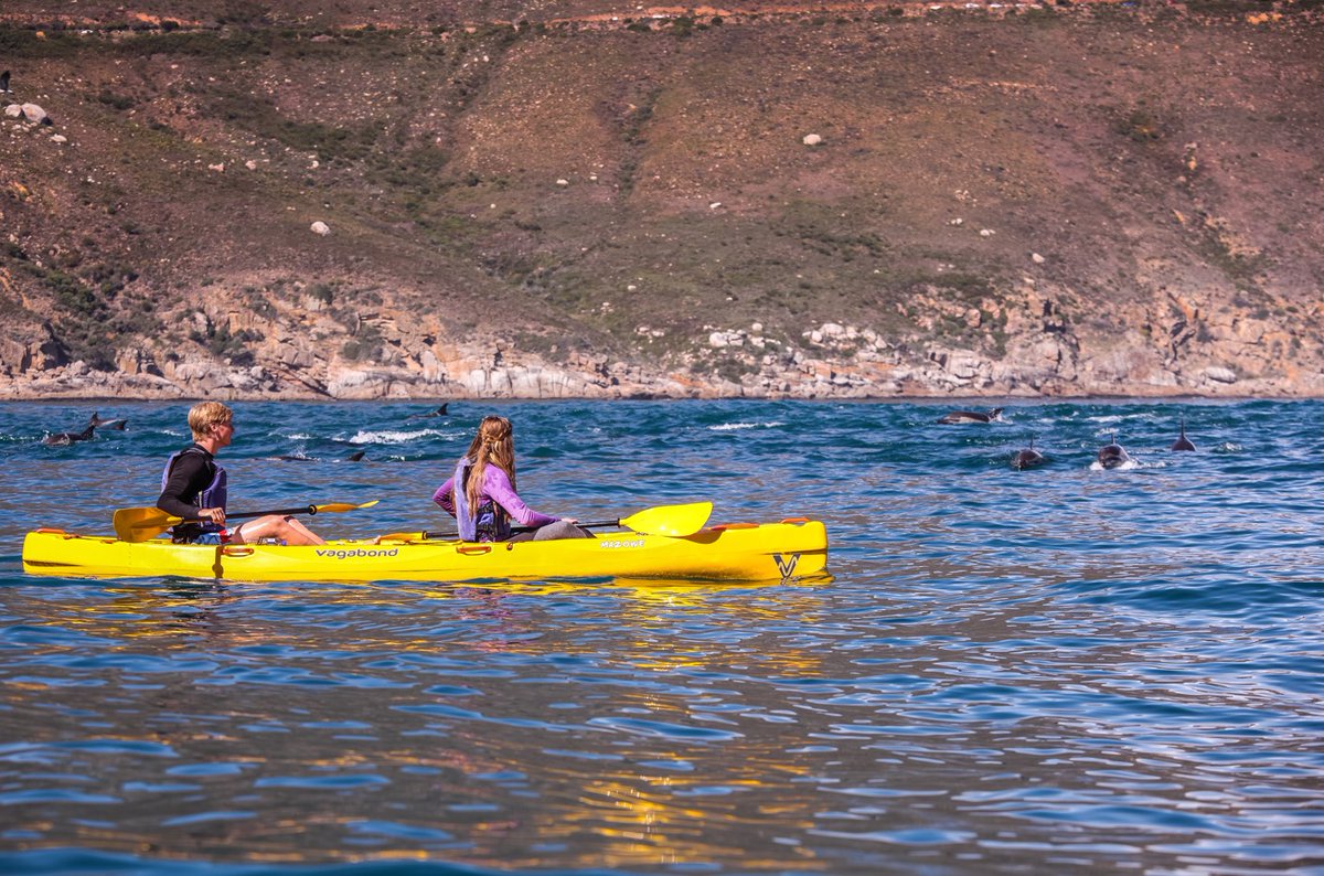 Sea Kayak Tours, where you get to encounter marine wildlife.

karbonkelbergtourism.co.za

#KarbonkelbergTourism #houtbay #DiscoverHoutBay #IAMCAPETOWN #capetown #lovecapetown #southafrica #shotleft #discoverctwc #TravelMassiveCT #TravelMassive #TravelChatSA #nowherebetter