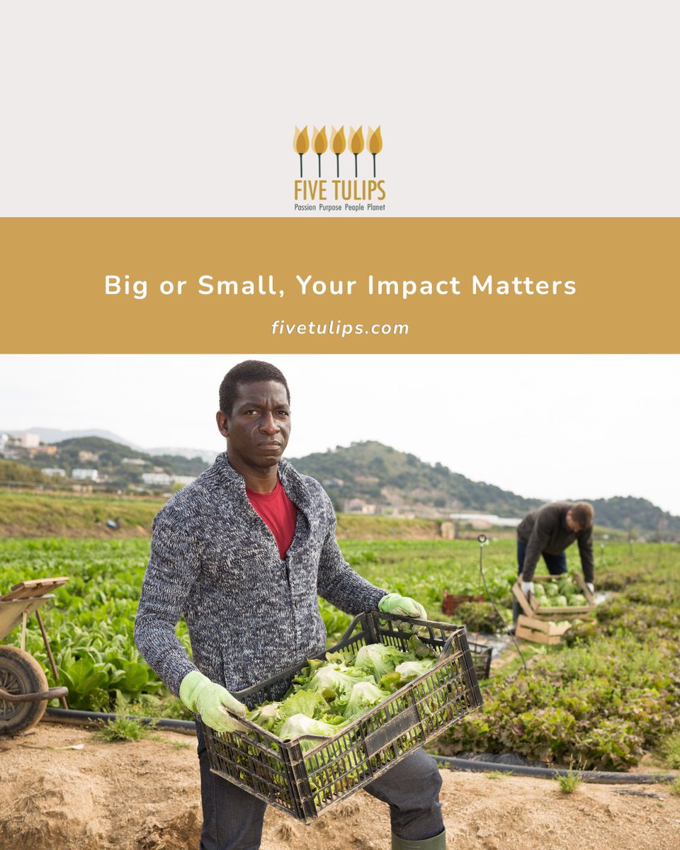 Fivetulips's tweet photo. We create CSR, CSI &amp; sustainability programmes for businesses of all sizes. From startups to established brands, our award-winning strategies drive real social, environmental &amp; economic impact. 🌍 https://t.co/NsUm6H1oAk

#FiveTulips #SustainableBusiness https://t.co/Svg2I3gB0o