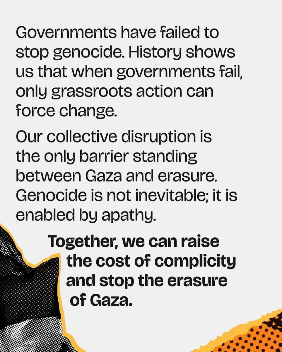 Rohan Star tweet media