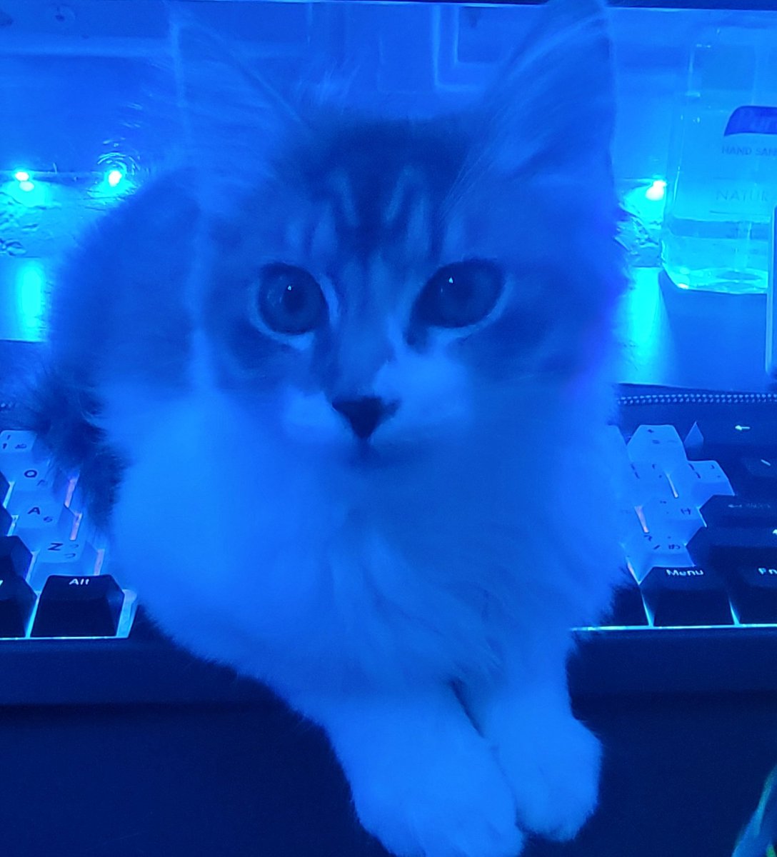 Also LFT/LF1 for CC4 ifykyk