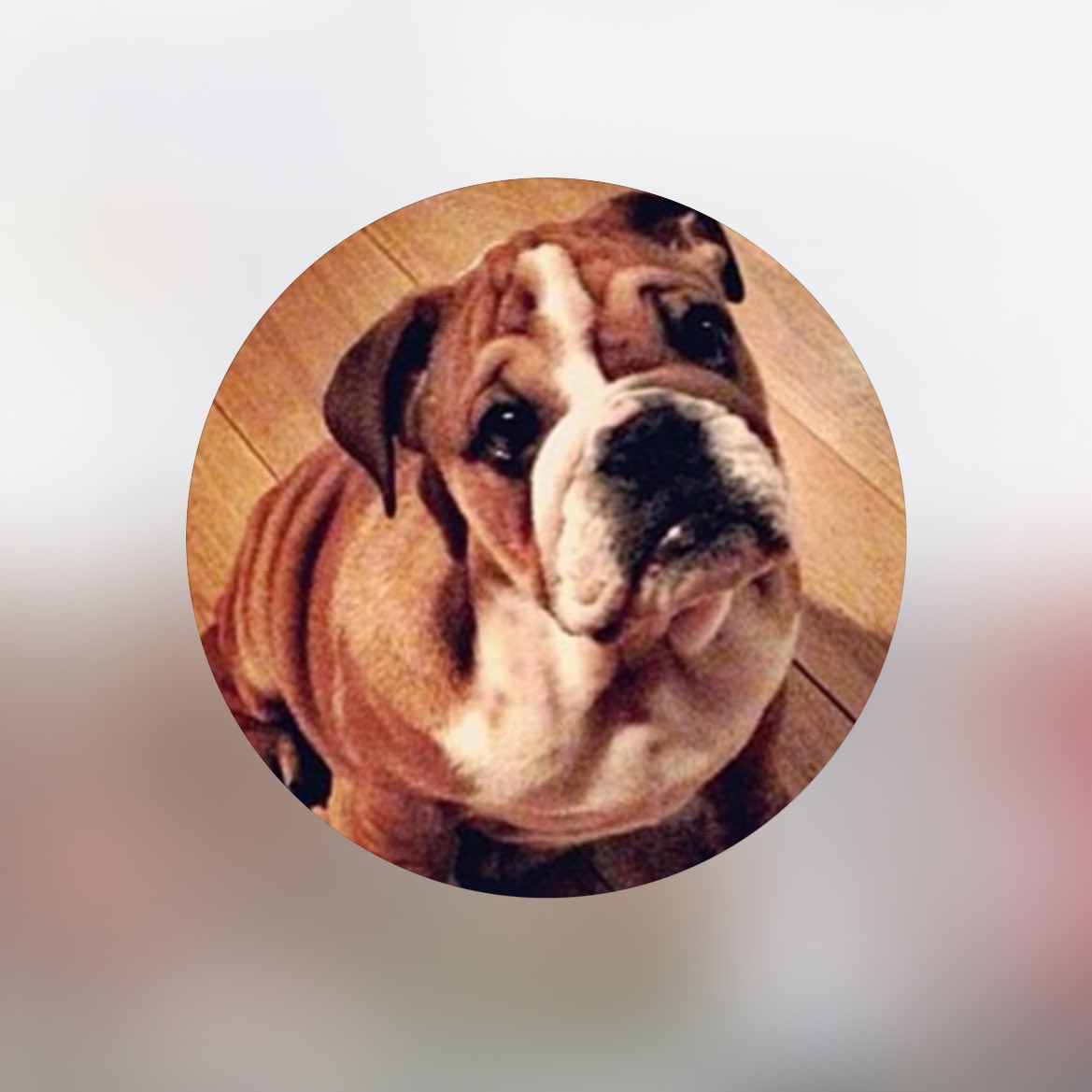 ก่อนลูอิสจะเปลี่ยนรูปดิสไอจีเป็นสีดำ ฮีสลับเปลี่ยนเป็นรูปรอสโค่ก่อนตั้ง 3 ครั้งอ่ะ แล้วตอนนี้ดิสล่าสุดคือรูปรอสโค่จิ๋ว ฮือออ นึกไม่ออกเลยว่าลูอิสเค้าจะเจ็บปวดขนาดไหน อยากกอดลูอิสแน่นๆ🥺🫂🐶