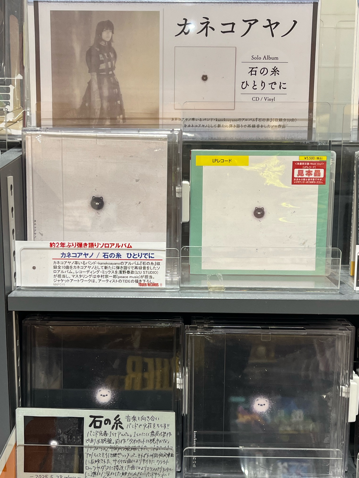 カネコアヤノ　 Alone 新品未使用　送料込み タワーレコード町田店 on X: 