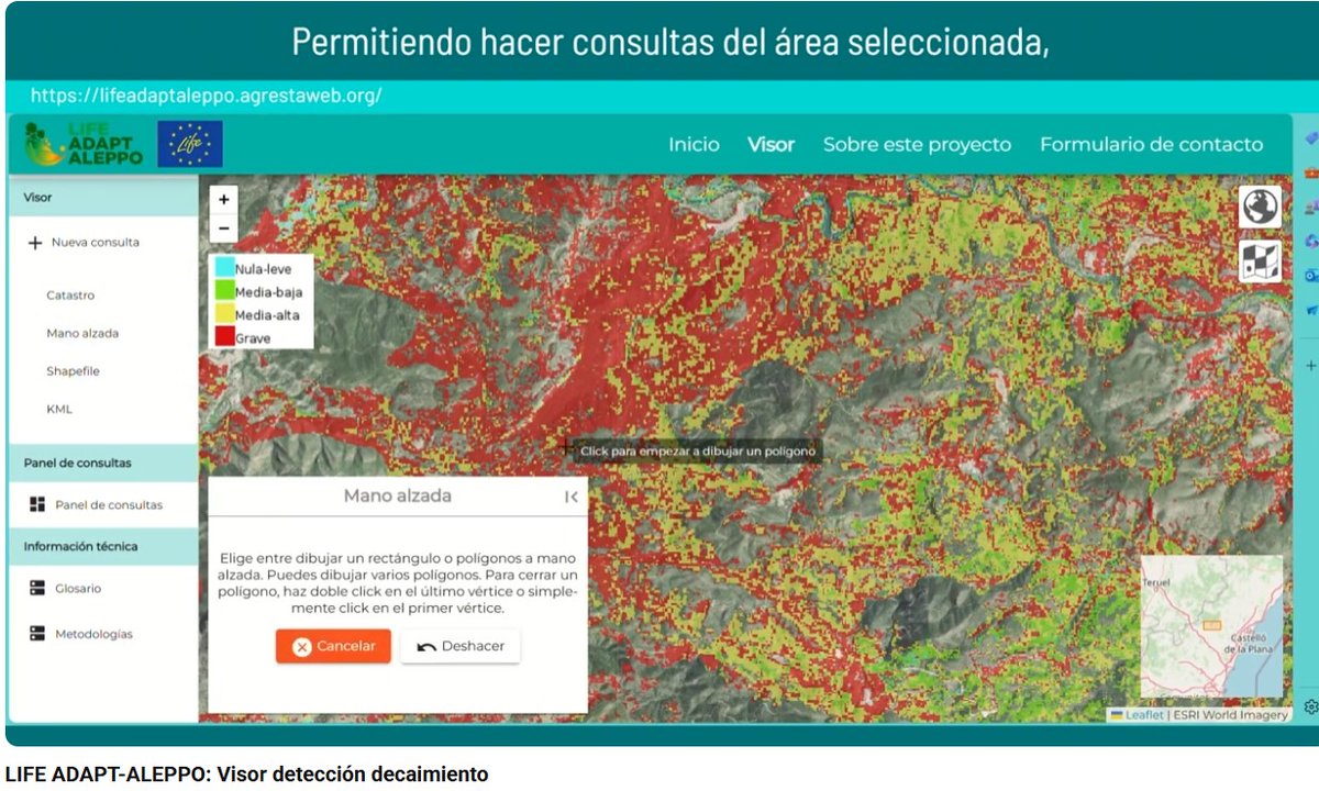 😕 ¿Preocupado por la salud de nuestros pinares?
🌲 Descubre cómo funciona el visor de detección temprana de decaimiento de Pinus halepensis, herramienta clave del proyecto #LIFE #Adaptaleppo
➡️ Vídeo: youtu.be/RfRuDHoNdM8
#Decaimiento #InnovaciónForestal #LIFEAmplifiers
