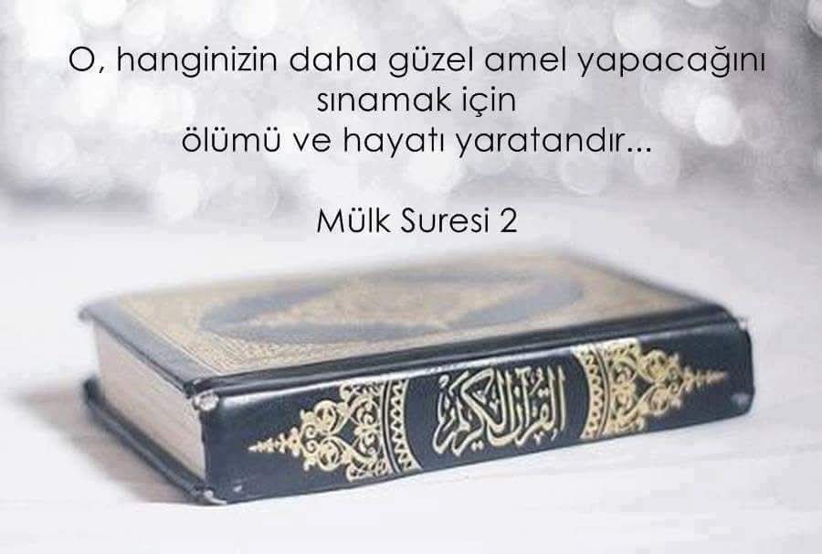 Muammer ÇAKIR (@cakirmuammer) on Twitter photo 