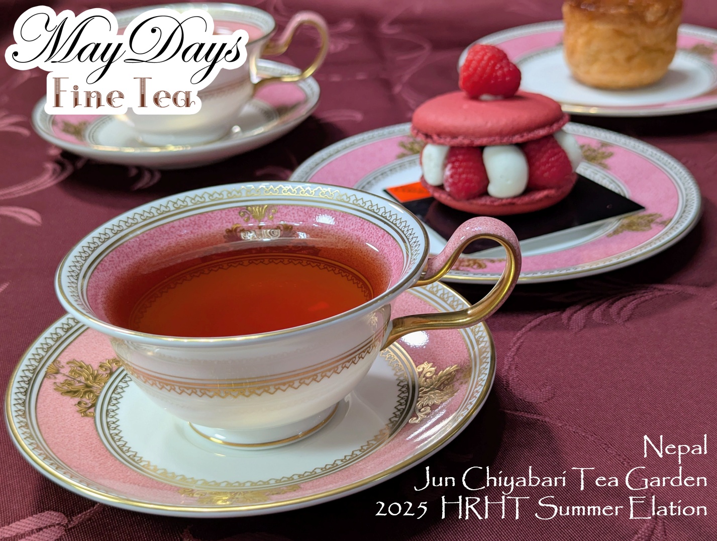 洋書TEA 紅茶愛好家