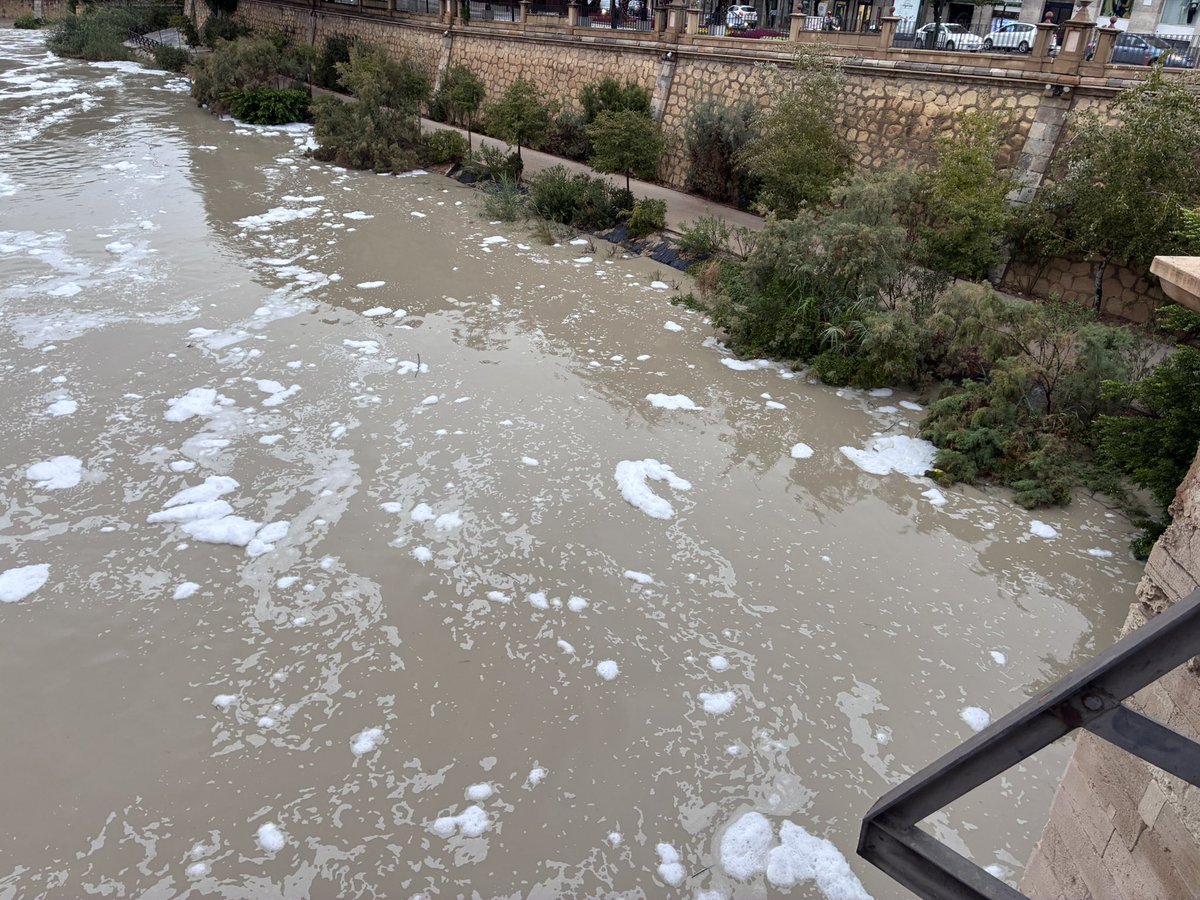 El Río Segura a su paso por Murcia ahora mismo. Parece espuma de jabón. ¿Otro vertido? Nah pero la multa les merecerá pagarla, siempre es más barato verter y pagar que hacer las cosas bien sin contaminar.