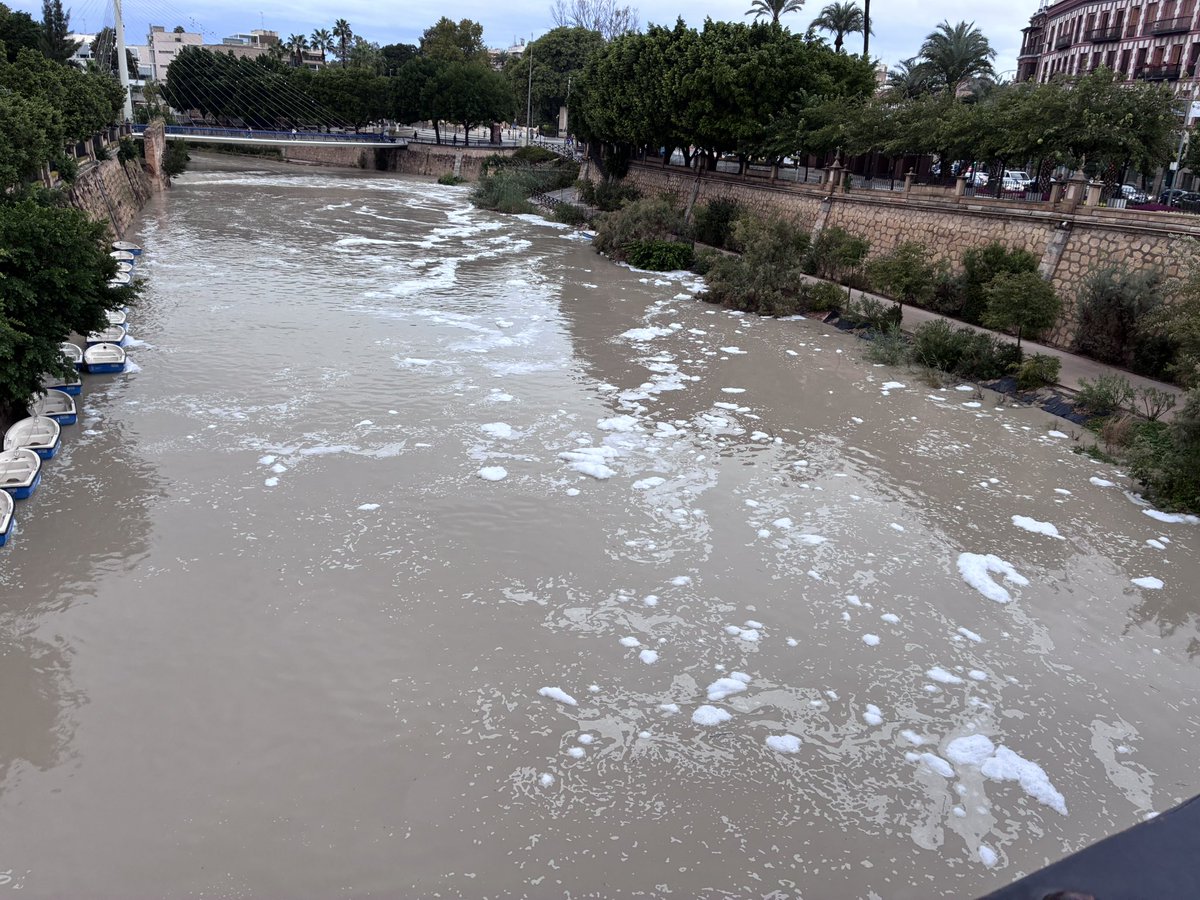cazurreando_com's tweet photo. El Río Segura a su paso por Murcia ahora mismo. Parece espuma de jabón. ¿Otro vertido? Nah pero la multa les merecerá pagarla, siempre es más barato verter y pagar que hacer las cosas bien sin contaminar. https://t.co/NZDSERlkPD