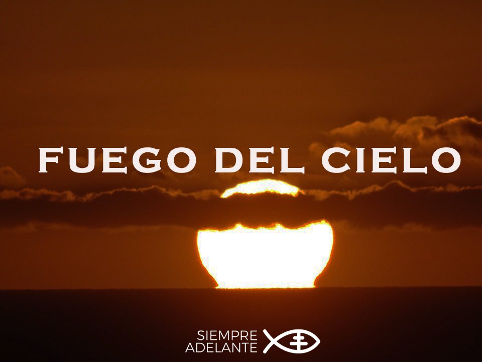 #EvangelioDelDía|    Lc 9, 51-56. Tomó la decisión de ir a Jerusalén. 

archisevillasiempreadelante.org/palabraviva-30…

#PalabraViva #SiempreAdelante