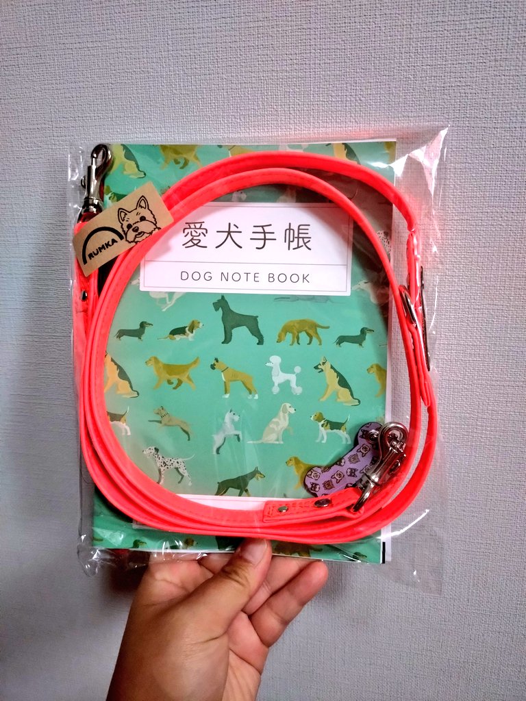 ryuchan123bro's tweet photo. 龍二ちゃん用に頼んだルンカさんのリードが届いたよ💖
ご丁寧に手書きのお手紙付きで嬉しかったです!
ブラックタンの毛色なので、とにかく目立つリードが欲しかったのです。
これはとても反射するリードなので嬉しい
使ってみて龍三くんの分を考えよう
#チワキー #龍ちゃんズ
#ルンカ https://t.co/k3clAR7yrn