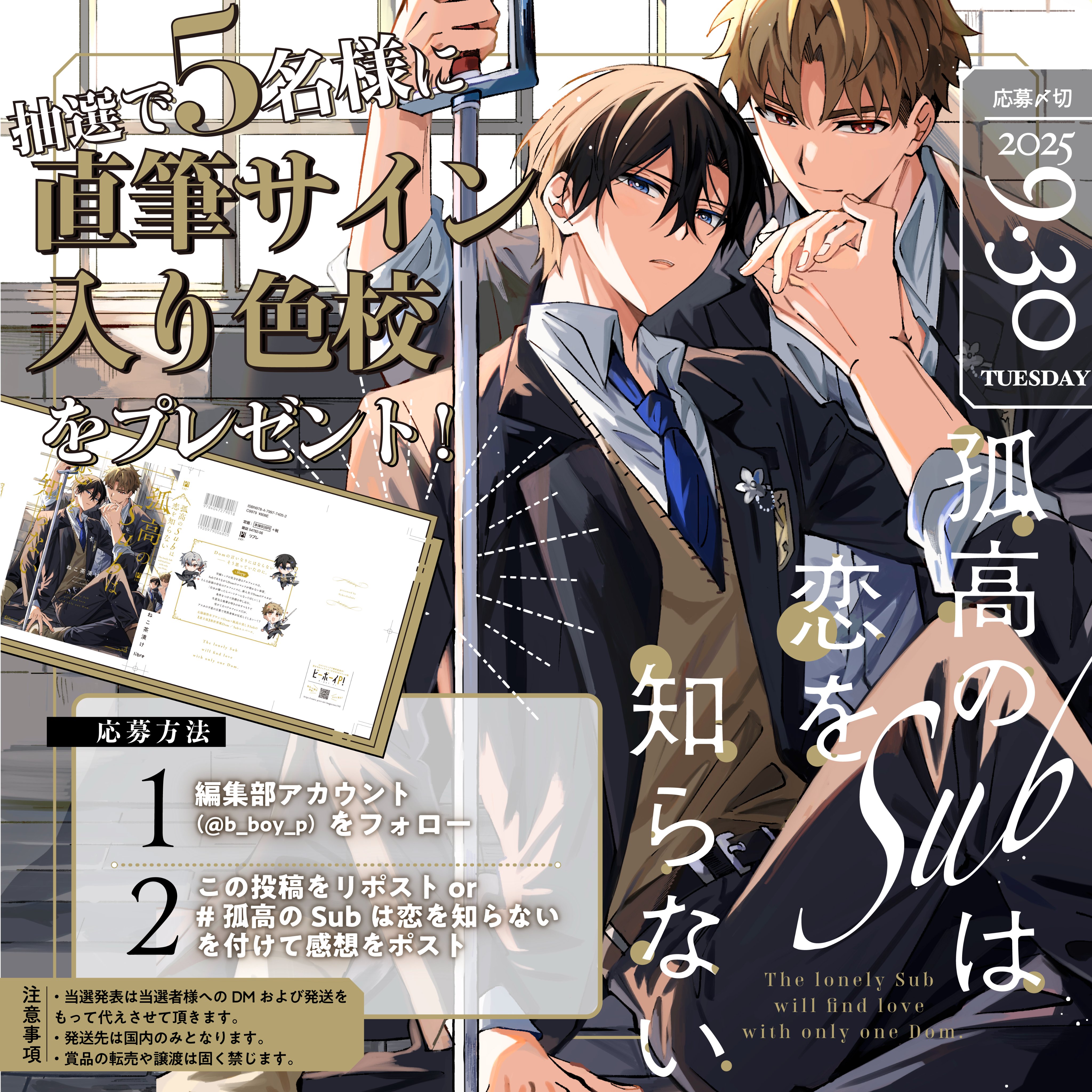 【バラ売りOK】*特典*リブレ*ビーボーイコミックスフェア*ペーパー バラ売りOK】*特典*リブレ*ビーボーイコミックスフェア*ペーパー