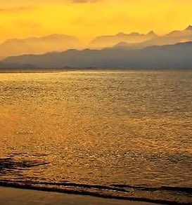 Silenci (@silenciiii) on Twitter photo 