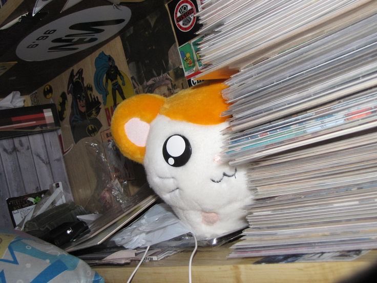 bigbromofumofu's tweet image. if anybody sees this I was @sir_fluffs_ unholyravioli annoying hamtaro pfp guy
