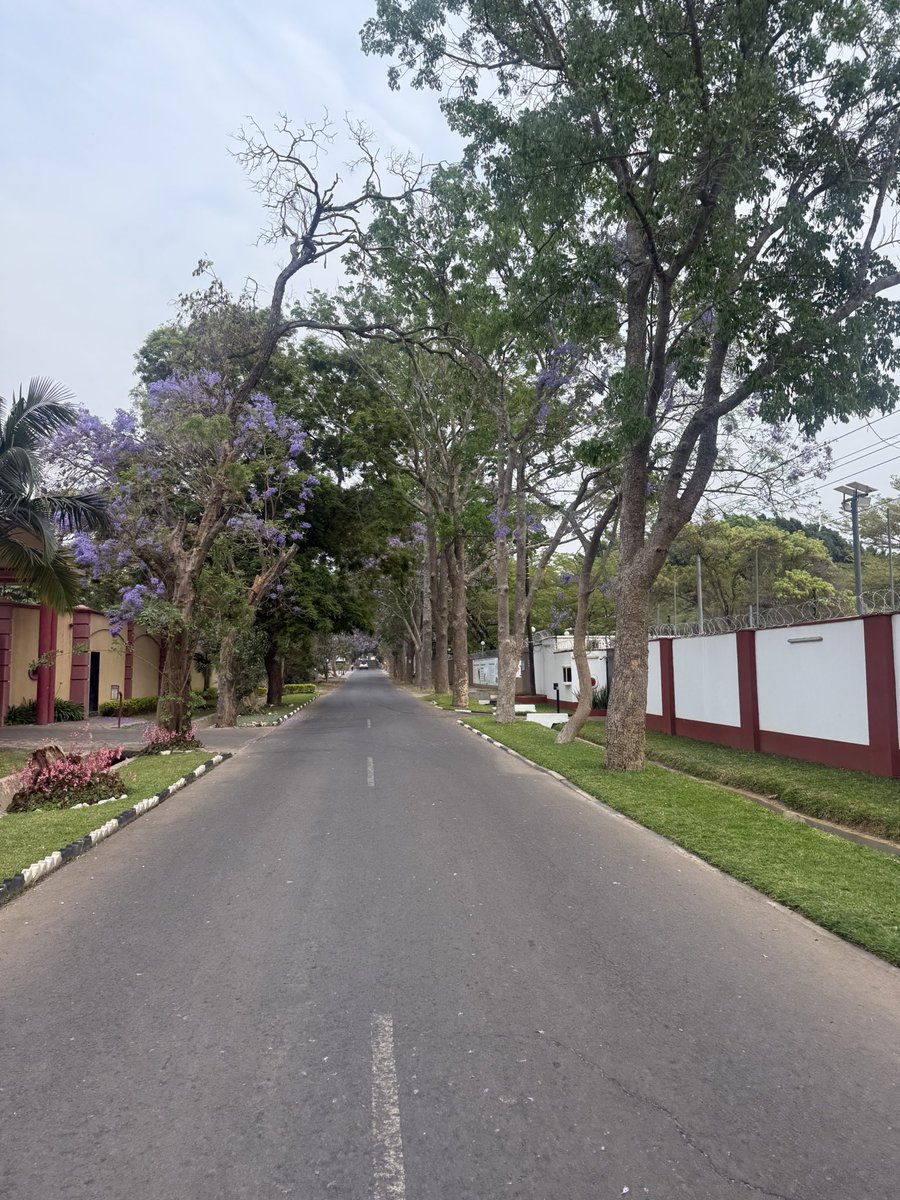 Brighten your day and invigorate your spirit with some gorgeous views of Lusaka! Lovely Zambian weather, strolling through the city's random streets, surrounded by a well-planned urban setting, vibrant Jacaranda trees blooming with colorful flowers, &amp; lush thriving vegetation.