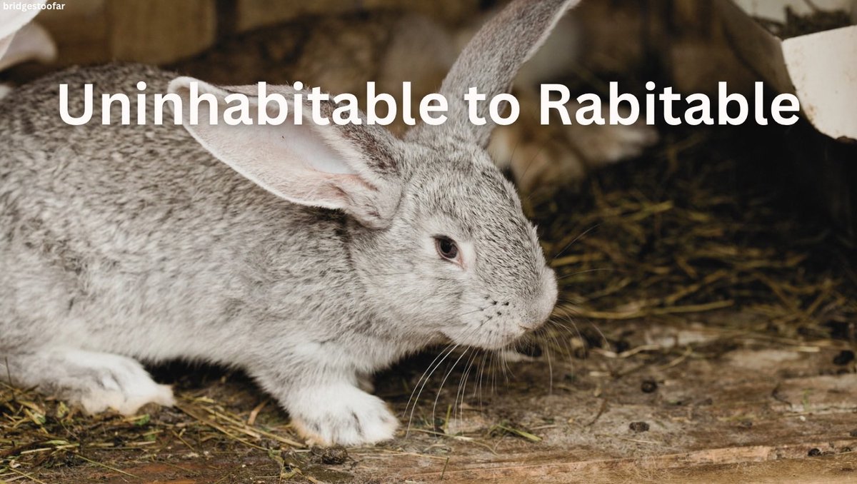 #AHutchIsntEnough’ with <a href="/carrotcottagerr/">Carrot Cottage Rabbit Rescue</a> 
<a href="/OneMinuteBriefs/">One Minute Briefs ⏱️</a>