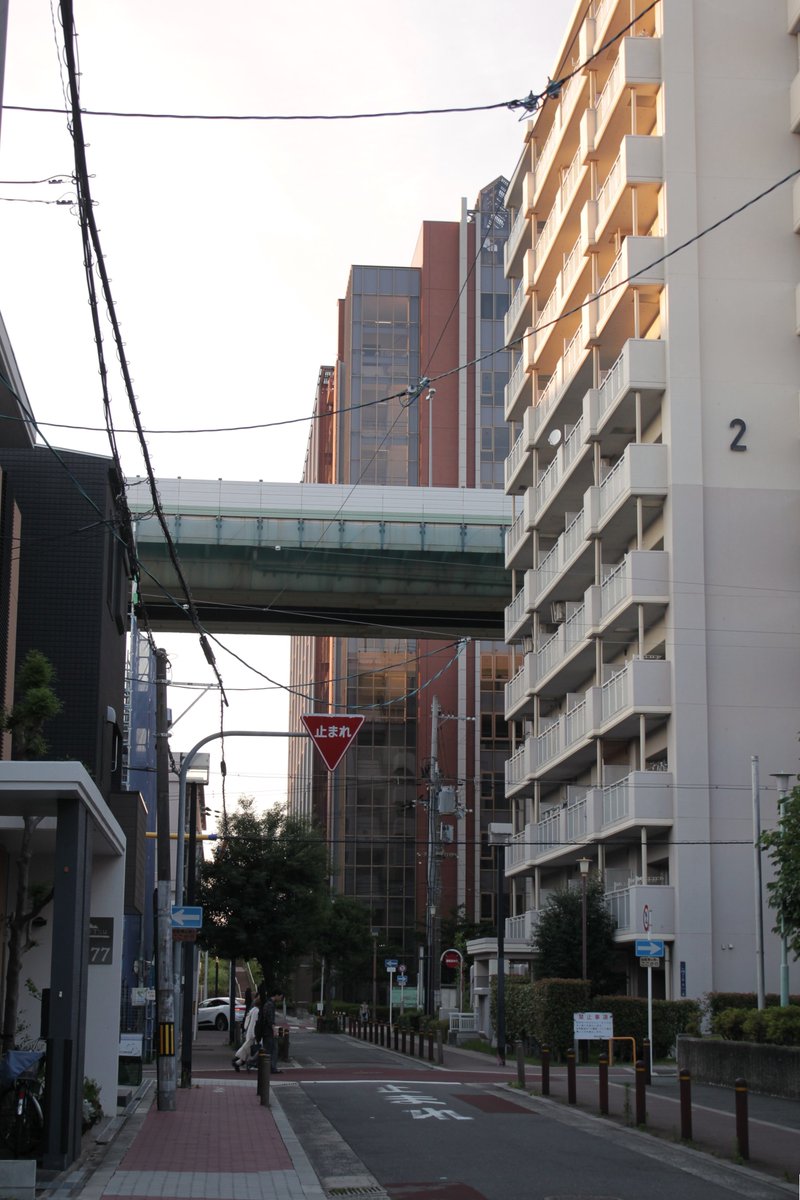 asahitwi's tweet image. 