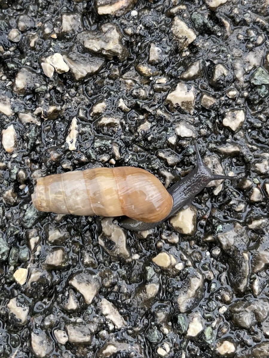 Što je ovo?
Od kud je pak taj