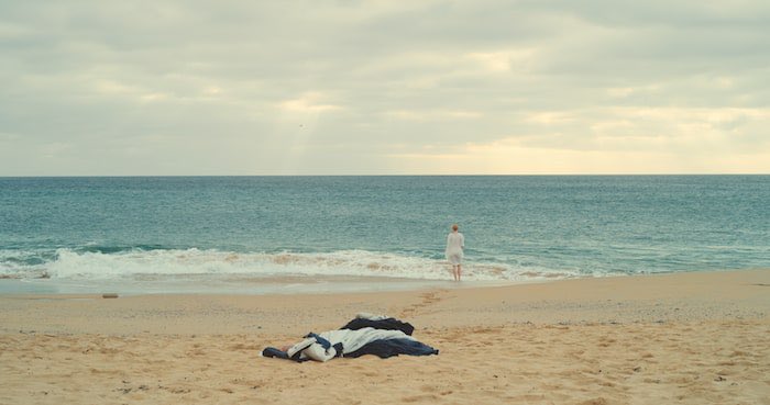 portrait of a lady on fire.