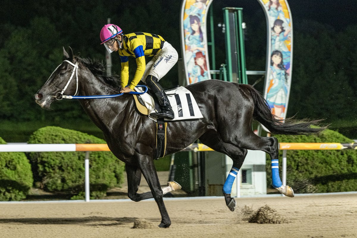 盗まれた馬 The door to the stable where the horses live has been