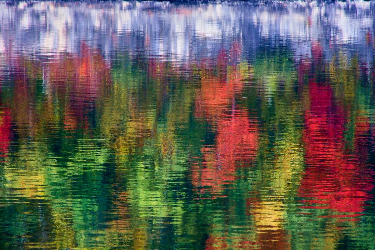 JoeinVirginia's tweet photo. Claytor Lake has tall cliffs covered with trees reflecting their fall colors. #Landscape #LandscapePhotography #reflection #Autumn #FallColors #Radford #Virginia https://t.co/squRggs8zy
