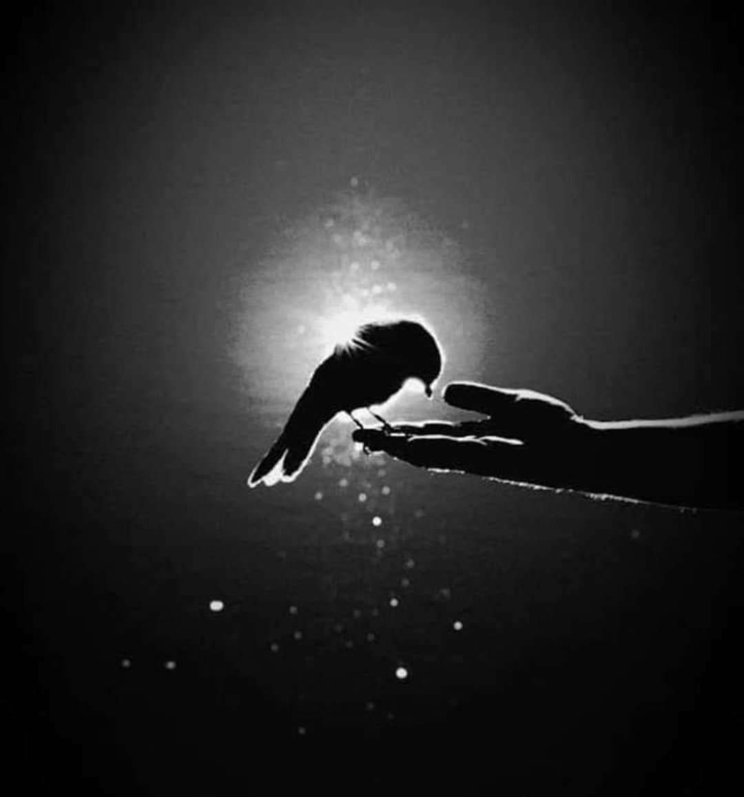 لا تكونو ضماداً لأحد .. 
فالضمادات تُرمى عندما تُشفى الجروح.