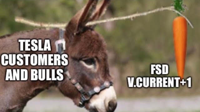 ValueAnalyst1's tweet image. Good morning to those who know that Elon Musk will hype FSD 14, then send it to his Biased Influencers who will hype it even more, this hype will drive up $TSLA (that's the point), then the stock will drop once FSD 14 is in wide release and everyone sees it for what it is: Hype.