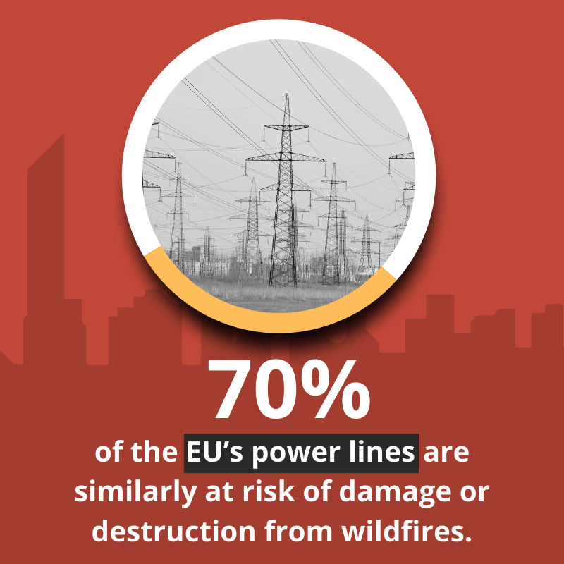 WorldBankECA's tweet photo. 🔥 Wildfires are becoming more frequent and severe across Europe, with a record area burned in 2025.

A new series of reports by the @WorldBank Group and @GFDRR, funded by @eu_echo, explores how countries can better protect lives, homes, and businesses.

Swipe to learn more ⬇️