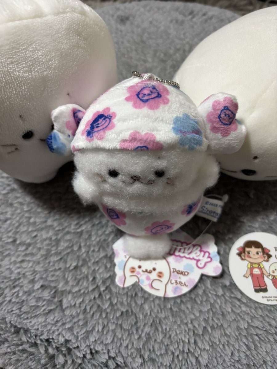 bupopope's tweet photo. ぽってり
#しろたん 
#ぽてぽてボディ
#オムツ履きたて https://t.co/JElDPcNXnd