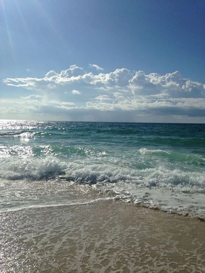 ocean (@hawsett4) on Twitter photo 