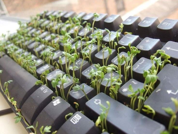 I waited for her reply 🥹