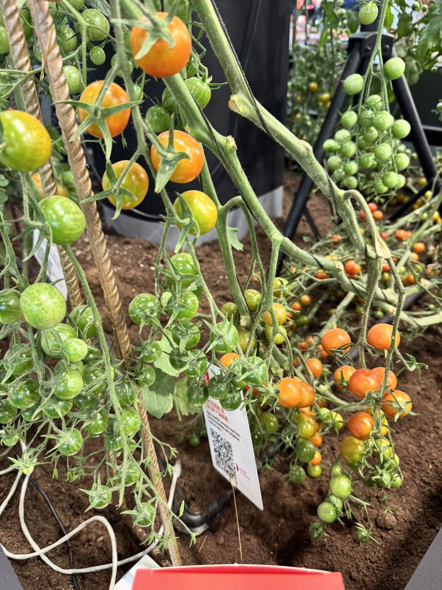 Hoy visitamos <a href="/FruitAttraction/">Fruit Attraction</a>, una feria que demuestra el liderazgo mundial de nuestro sector de frutas y hortalizas. Un liderazgo que debe traducirse en un reparto justo en toda la cadena, especialmente hacia el primer eslabón, sin el que esta feria no existiría.