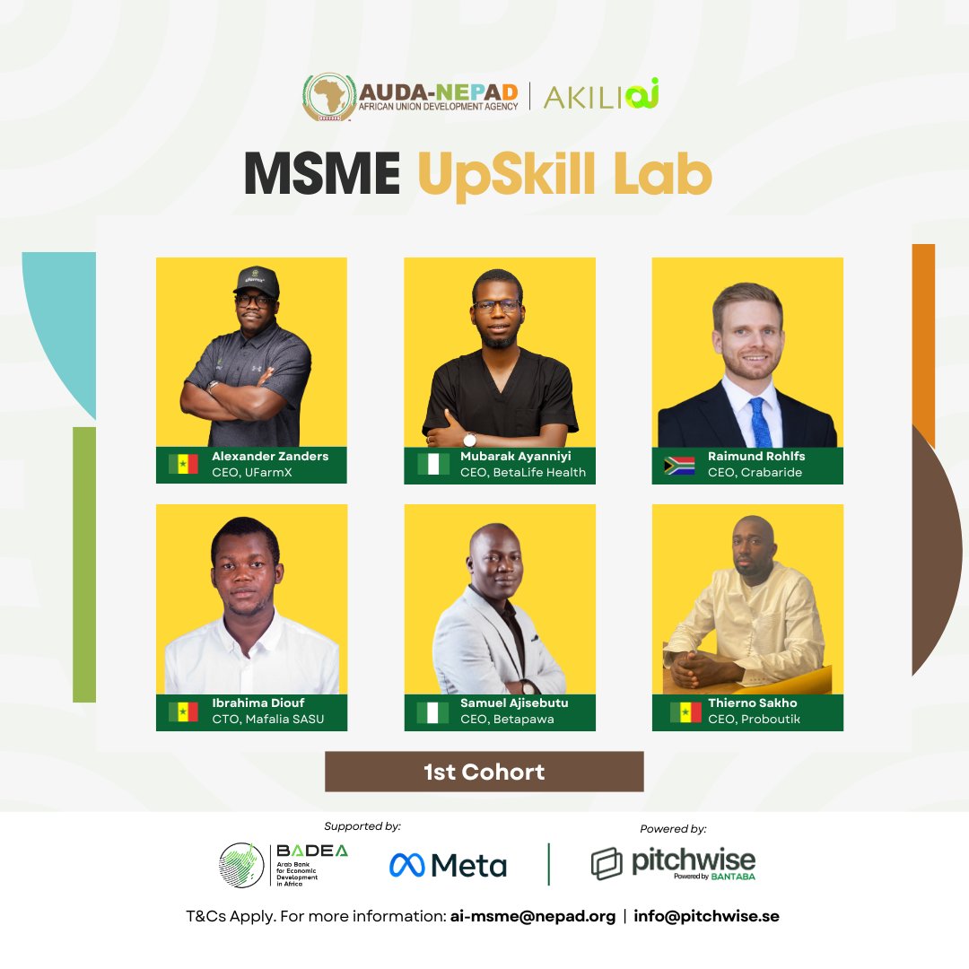 AUDA-NEPAD Entrepreneurial Ecosystem Support tweet media