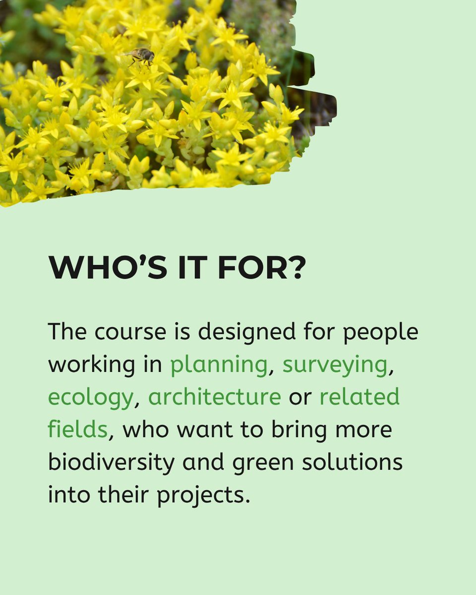 RoofGro's tweet image. The @UWEBristol &quot;Urban Greening for a Biodiverse West of England Skills Bootcamp&quot; is open for applications.

📅 Apply by 22 Oct
✏️ Bootcamp starts 5 Nov
🔗 courses.uwe.ac.uk/Z51000222/urba…

#UrbanGreening #BiodiversityNetGain #SkillsBootcamp #NatureBasedSolutions #GreenInfrastructure