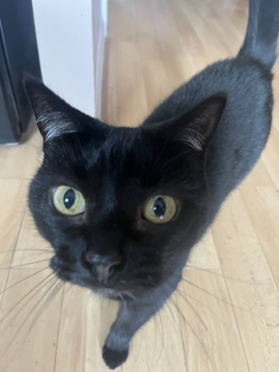 SK fluxxy tweet media