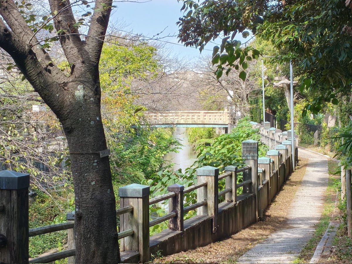 美しき青きドナ…真間川