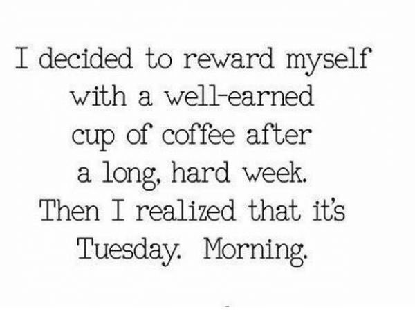 Good morning ☀️☕️