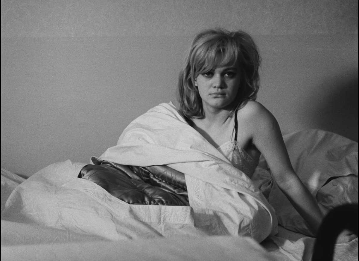 Filmoteca de Navarra-Nafarroako Filmoteka tweet media