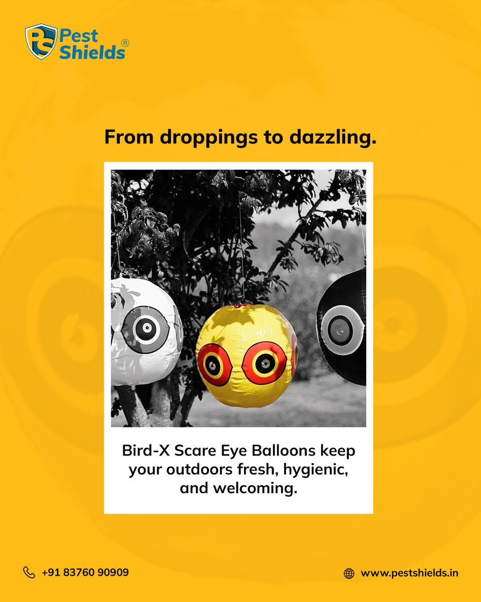 pest_shields's tweet image. Say goodbye to pesky birds and hello to a spotless outdoor space! 🕊️✨ 

Keep it fresh, hygienic, and welcoming with Bird-X Scare Eye Balloons.

#PestFree #BirdControl #CleanOutdoors #HygienicSpaces #BirdX #OutdoorProtection #PestShields