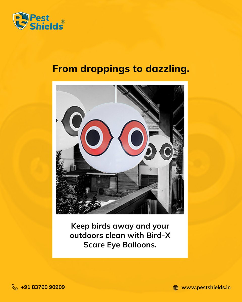 pest_shields's tweet image. Say goodbye to pesky birds and hello to a spotless outdoor space! 🕊️✨ 

Keep it fresh, hygienic, and welcoming with Bird-X Scare Eye Balloons.

#PestFree #BirdControl #CleanOutdoors #HygienicSpaces #BirdX #OutdoorProtection #PestShields