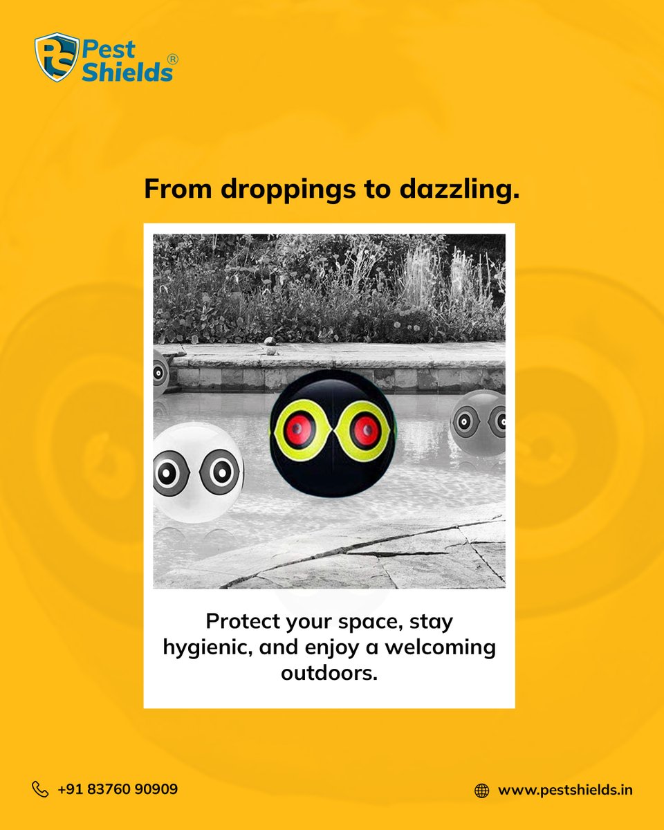 pest_shields's tweet image. Say goodbye to pesky birds and hello to a spotless outdoor space! 🕊️✨ 

Keep it fresh, hygienic, and welcoming with Bird-X Scare Eye Balloons.

#PestFree #BirdControl #CleanOutdoors #HygienicSpaces #BirdX #OutdoorProtection #PestShields